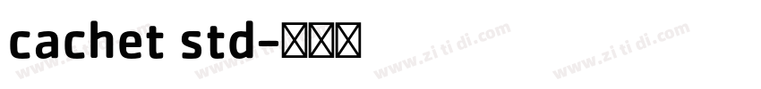 cachet std字体转换